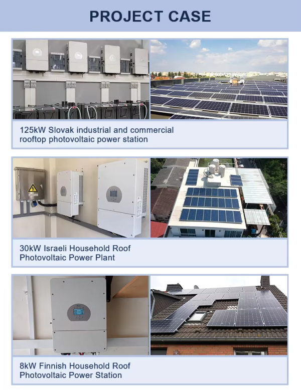 Deye 12KW hybrid inverter - Image 2